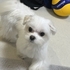 shoko